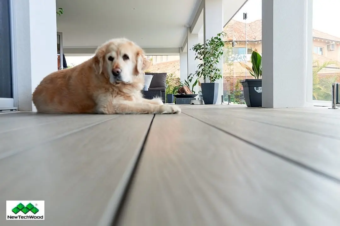 safe composite patios for dogs